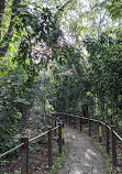 Thomson Nature Park Car Park