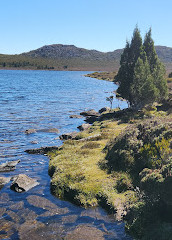 Caminhada no Lago Pine