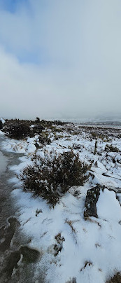 Caminhada no Lago Pine