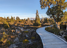 Caminhada no Lago Pine