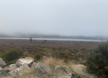 Caminhada no Lago Pine