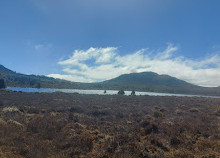 Caminhada no Lago Pine