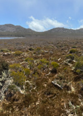 Caminhada no Lago Pine