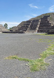 Teotihuacan Pyramids (Botanical Gardens)