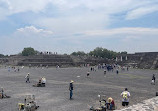 Teotihuacan Pyramids (Botanical Gardens)