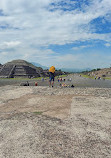 Teotihuacan Pyramids (Botanical Gardens)