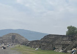 Teotihuacan Pyramids (Botanical Gardens)