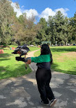 Hawk On Hand Falconry