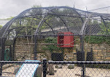 Phillips Park Zoo