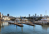 Sea Lion Viewing Area