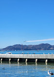 Sea Lion Viewing Area