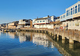 Sea Lion Viewing Area