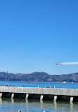 Sea Lion Viewing Area