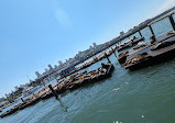 Sea Lion Viewing Area