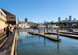 Sea Lion Viewing Area