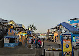 Sea Lion Viewing Area