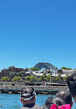 Sydney Harbour Bridge