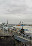 Pyrmont Bridge