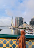 Pyrmont Bridge