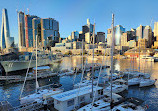 Pyrmont Bridge