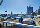 Pyrmont Bridge