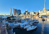 Pyrmont Bridge