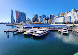 Pyrmont Bridge