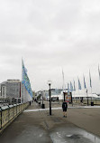 Pyrmont Bridge