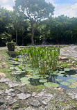 Ichimura Miami Japan Garden