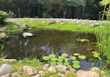 Ichimura Miami Japan Garden