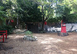 Ichimura Miami Japan Garden