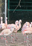 Dublin Zoo