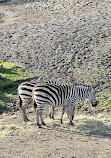 Dublin Zoo