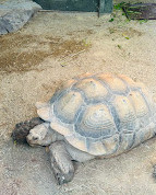 Dublin Zoo