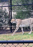 Zoo de Sydney