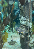 SEA LIFE Sydney Aquarium