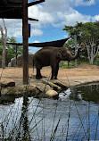 Taronga Zoo Sydney