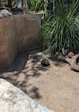 Taronga Zoo Sydney