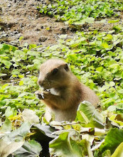 Heimtierpark