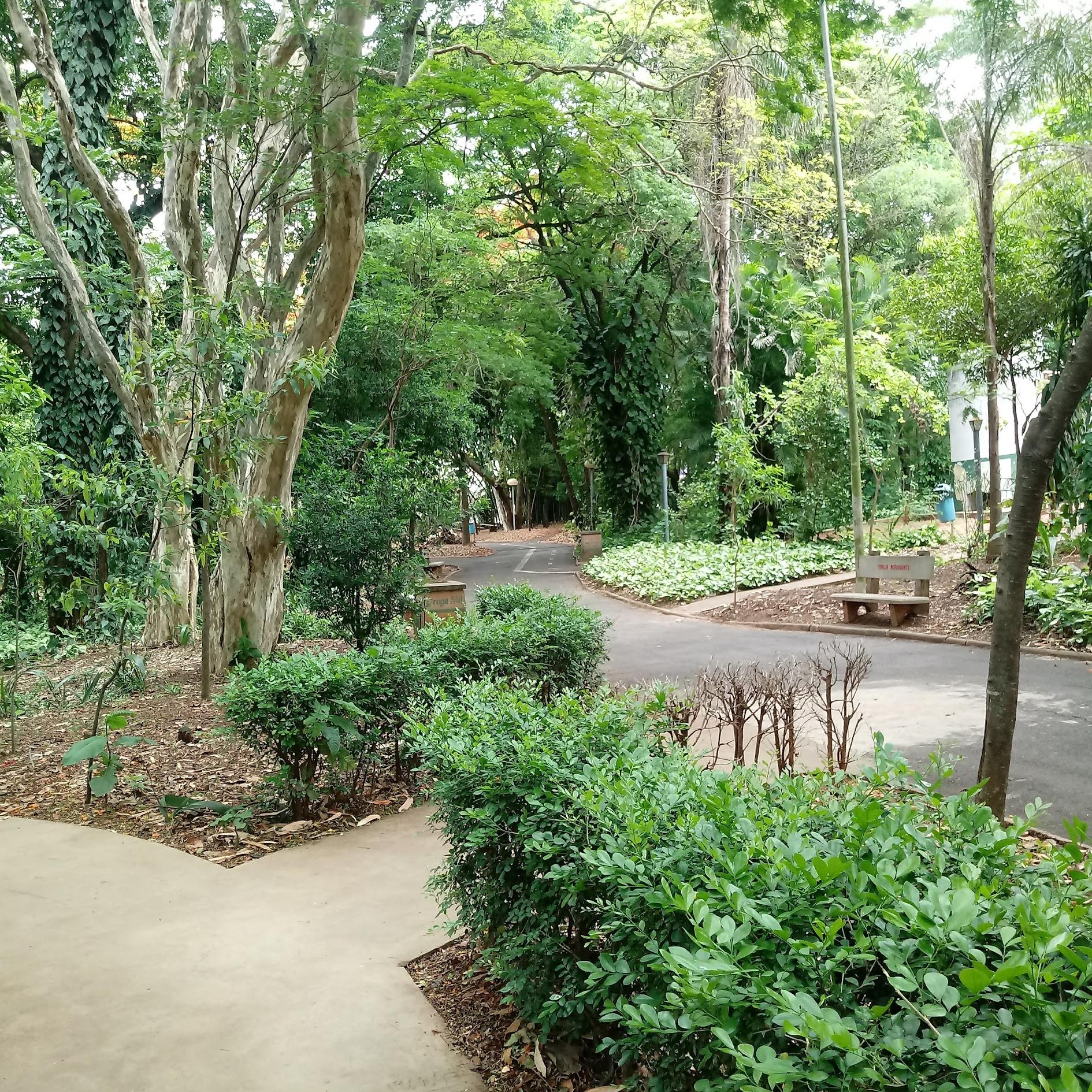 Bosque da Comunidade