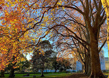 Aire de Jeu des Jardins Carlton