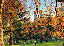 Aire de Jeu des Jardins Carlton