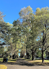 Aire de Jeu des Jardins Carlton