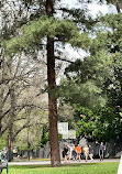 Carlton Gardens Playground