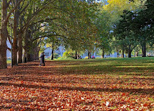 Aire de Jeu des Jardins Carlton