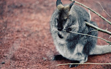 Instalaciones de Australia