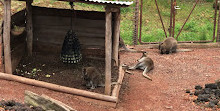 Installation en Australie