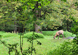 Hellabrunn Zoo