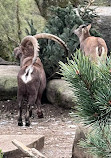 Hellabrunn Zoo