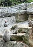 Hellabrunn Zoo